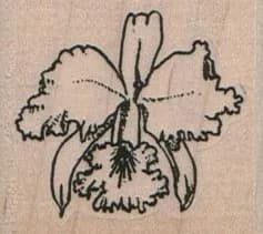 Orchid/Small 1 3/4 x 1 1/2-0
