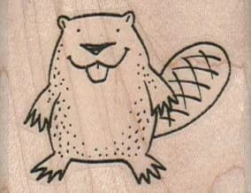 Beaver 2 x 2 1/2-0
