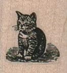 Cat Sitting 1 x 1-0