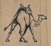 Camel With Saddle 1 1/2 x 1 1/4-0