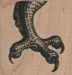 Bird Claw 1 3/4 x 1 3/4-0