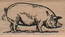 Pig 1 x 1 1/2-0