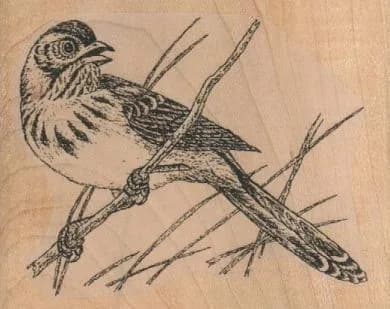 Brown Towhee 2 3/4 x 2 1/4-0