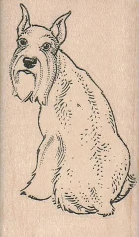 Schnauzer Back 2 x 3 1/4-0