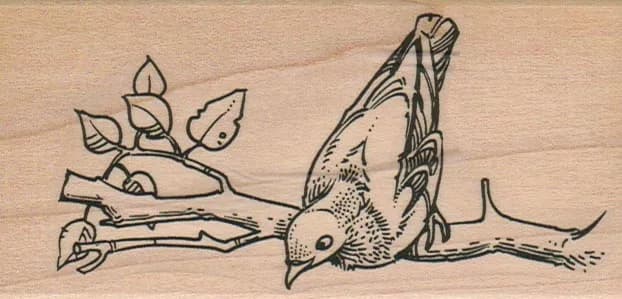 Bird On Branch 2 1/4 x 4 1/4-0