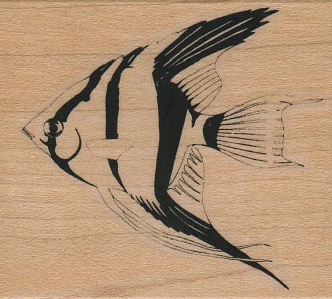 AngelFish 2 1/4 x 2 1/4-0
