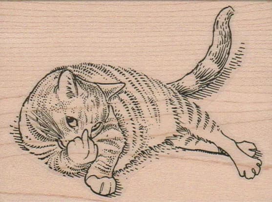 Cat Finger 3 x 3 3/4-0