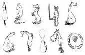 Horse Numbers (Unmounted)-0