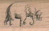 Elephants/Big & Small 1 1/4 x 1-0