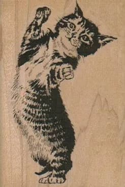 Sprawling Cat 1 3/4 x 2 1/2-0