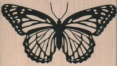 Butterfly 4 x 2 1/4-0