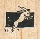 Donkey Jumping 1 x 1-0