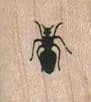 Ant 3/4 x 3/4-0