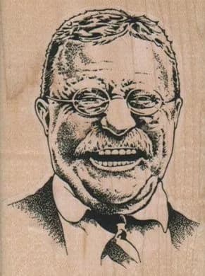 Teddy 2 1/2 x 3 1/4-0