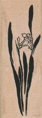 Daffodils 1 1/4 x 3 1/4-0