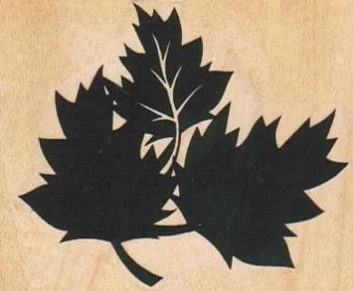 Leaf Trio 2 3/4 x 2 1/4-0
