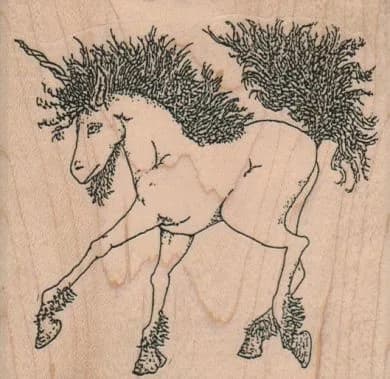 Hairy Unicorn 3 1/2 x 3 1/2-0