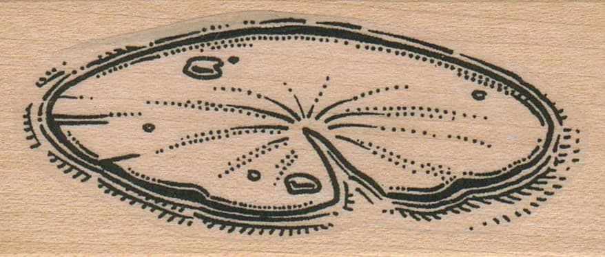LilyPad 1 1/2 x 3-0