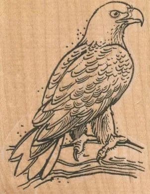 Eagle On Branch 2 1/2 x 3-0