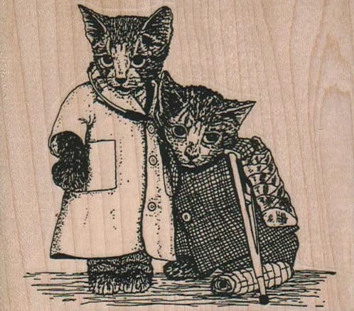 Cat Doctor And Patient 3 1/2 x 3-0