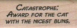 Catastrophe: Award For 3/4 x 1 3/4-0