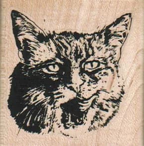 Catlick 2 x 2-0