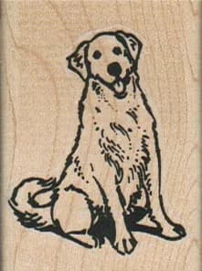 Golden Retriever Dog Sitting 1 1/2 x 2-0