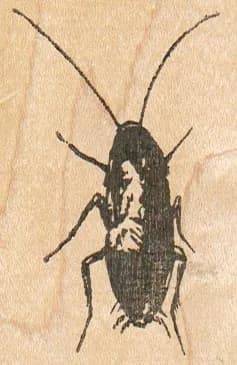 Roach 1 3/4 x 2 1/2-0
