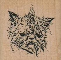 Wet Cat/Small 1 1/2 x 1 1/2-0