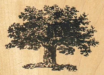 Tree 2 1/2 x 1 3/4-0