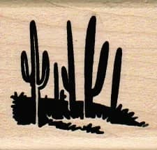 Cactus Stand 1 1/2 x 1 1/2-0