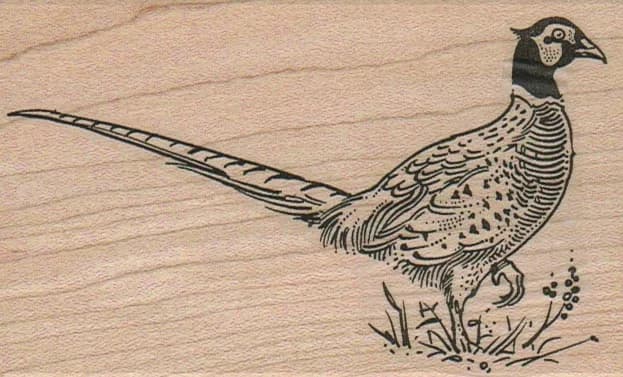 Pheasant 2 3/4 x 4 1/4-0