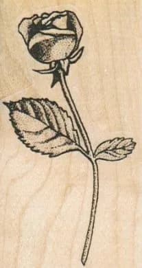 Single Rose/Dotted/Small 1 3/4 x 3-0