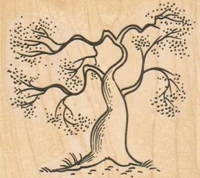 Japanese Tree 3 1/2 x 3-0