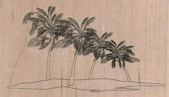 Palm Beach 4 x 2 1/4-0