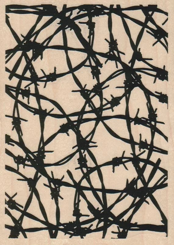 Barb Wire Background 4 x 5 1/4-0
