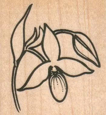 Beautiful Flower 2 x 2-0