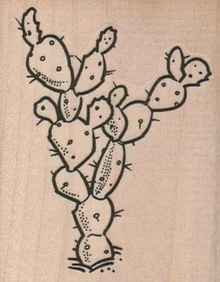 Cactus Split 2 1/4 x 2 3/4-0