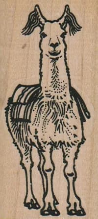 Llama With Blanket 1 1/2 x 3-0