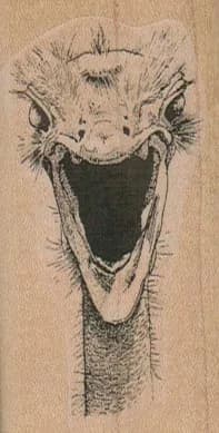 Screaming Ostrich/Small 1 1/2 x 2 3/4-0