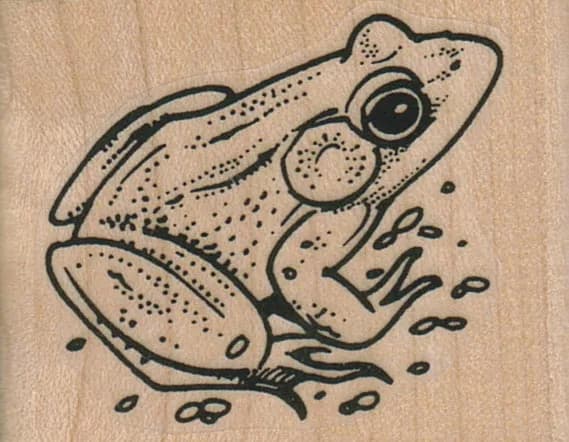 Sitting Frog Back 2 x 1 1/2-0