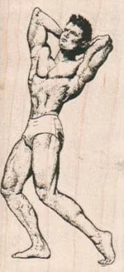 Muscle Man 1 1/2 x 3-0