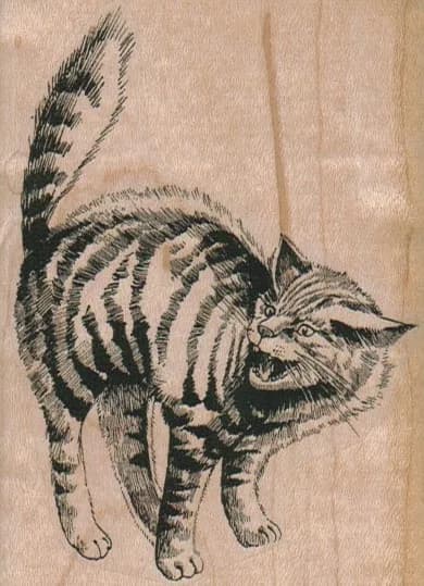 Cat Snarling 2 3/4 x 3 3/4-0