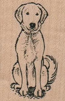 Golden Retriever Dog Sitting 1 1/2 x 2 1/4-0