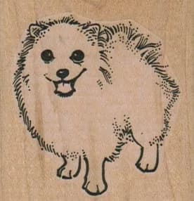 Pomeranian Dog 2 x 2-0