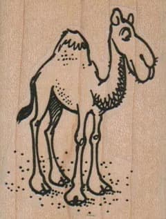 Camel Side 1 3/4 x 2 1/4-0