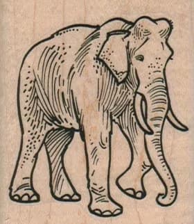 Elephant Lifting Foot 2 x 2 1/4-0