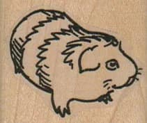Guinea Pig Side 1 1/2 x 1 1/4-0
