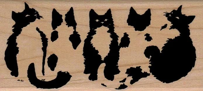 Black And White Cats 2 1/4 x 4 3/4-0
