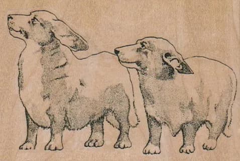 Corgis 3 1/4 x 2 1/4-0